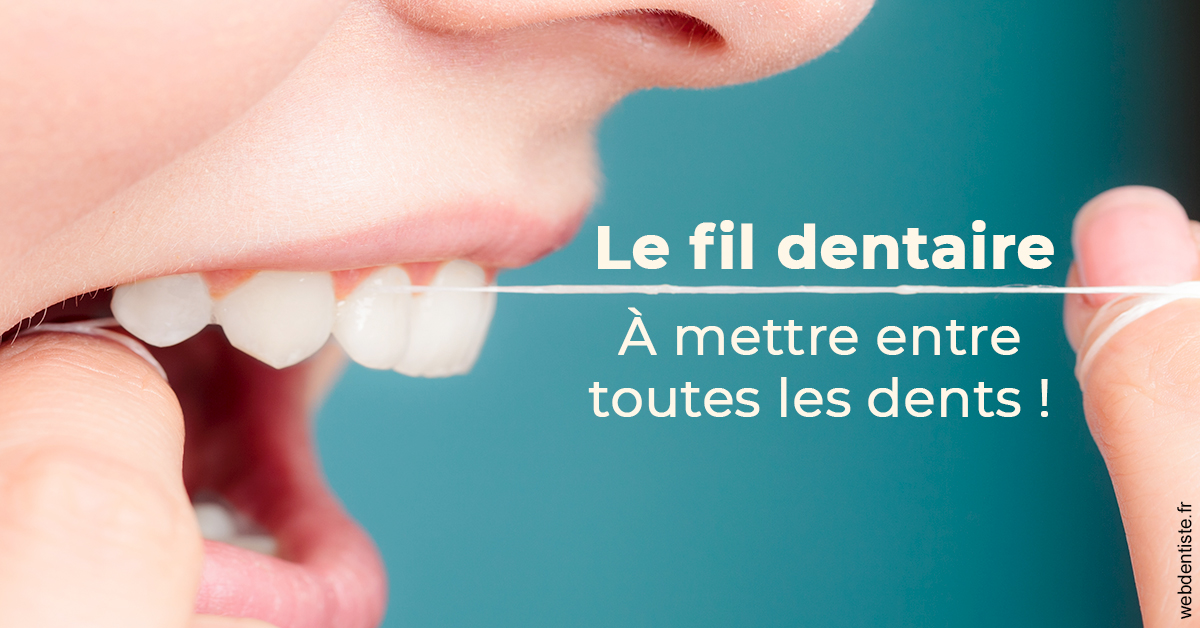 https://dr-perotti-laurent.chirurgiens-dentistes.fr/Le fil dentaire 2