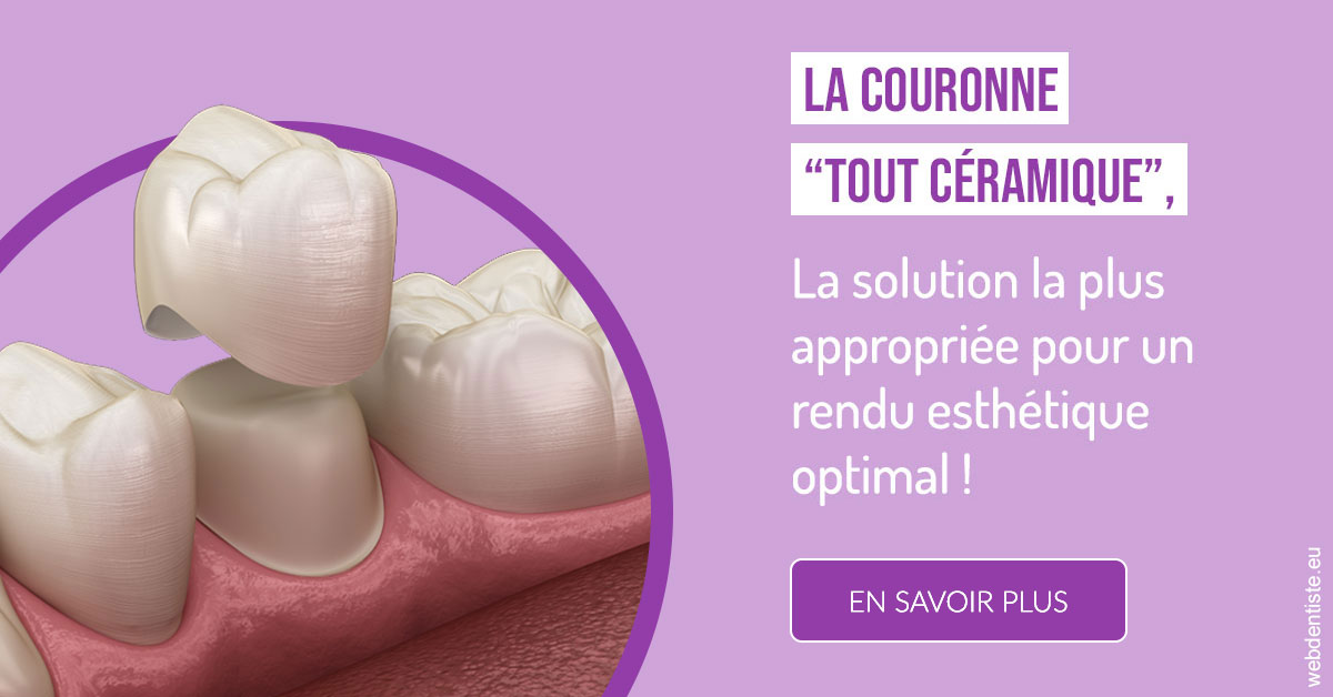 https://dr-perotti-laurent.chirurgiens-dentistes.fr/La couronne "tout céramique" 2