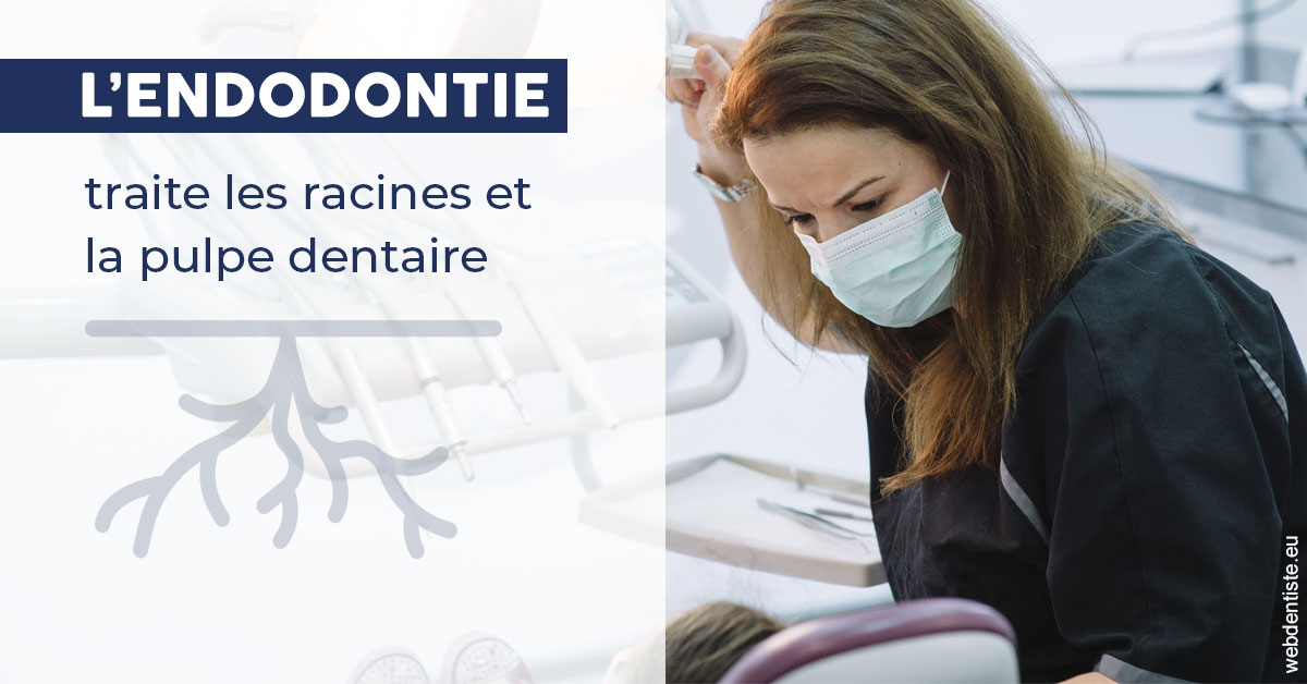 https://dr-perotti-laurent.chirurgiens-dentistes.fr/L'endodontie 1