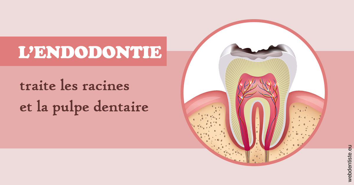 https://dr-perotti-laurent.chirurgiens-dentistes.fr/L'endodontie 2