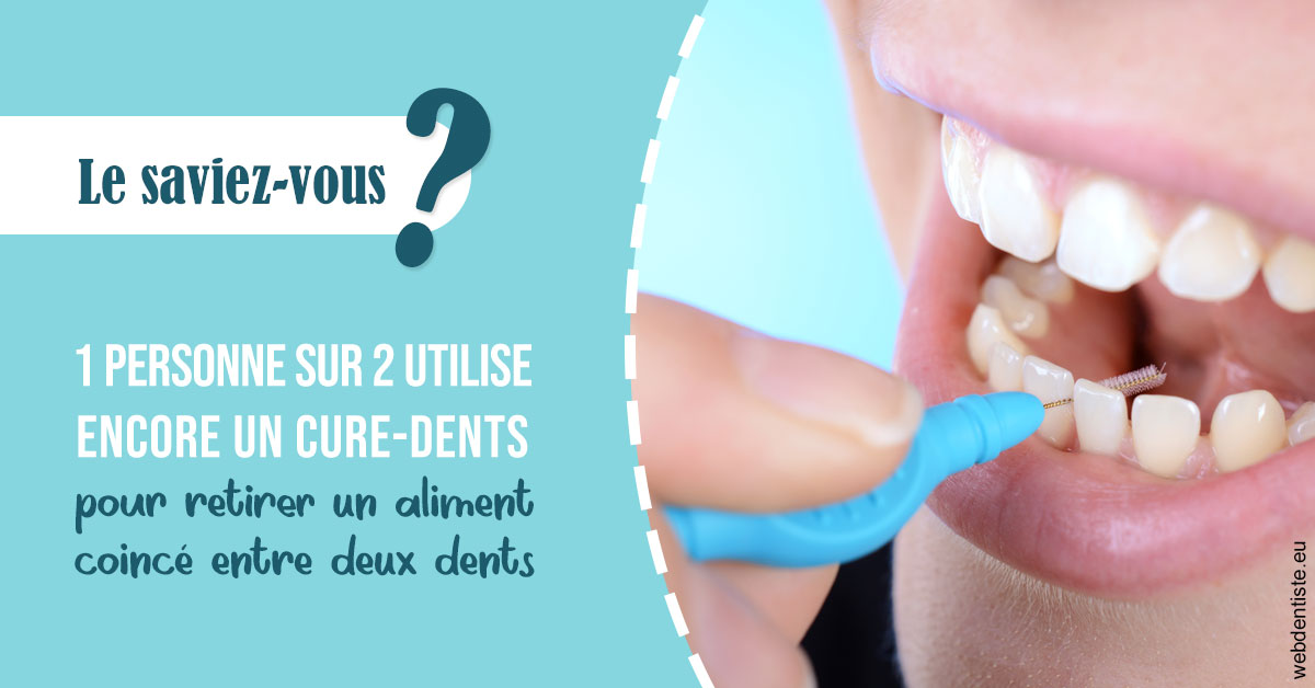 https://dr-perotti-laurent.chirurgiens-dentistes.fr/Cure-dents 1