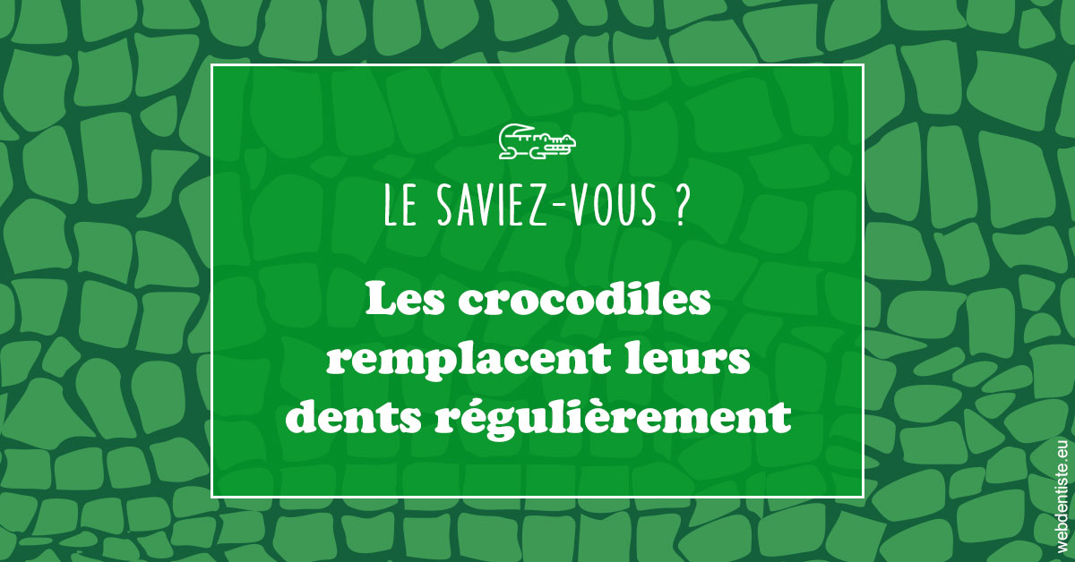 https://dr-perotti-laurent.chirurgiens-dentistes.fr/Crocodiles 1